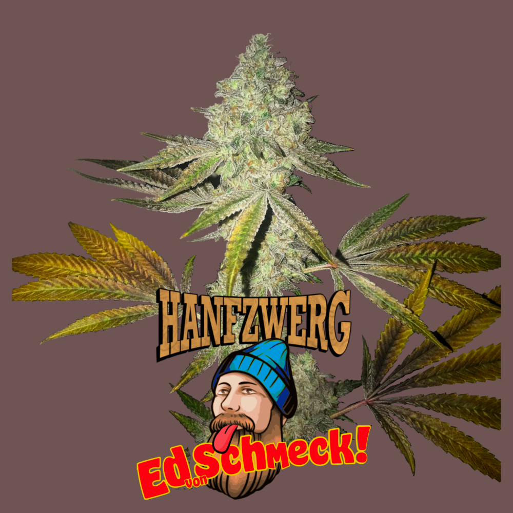 ed-von-schmeck-hanfsamen2