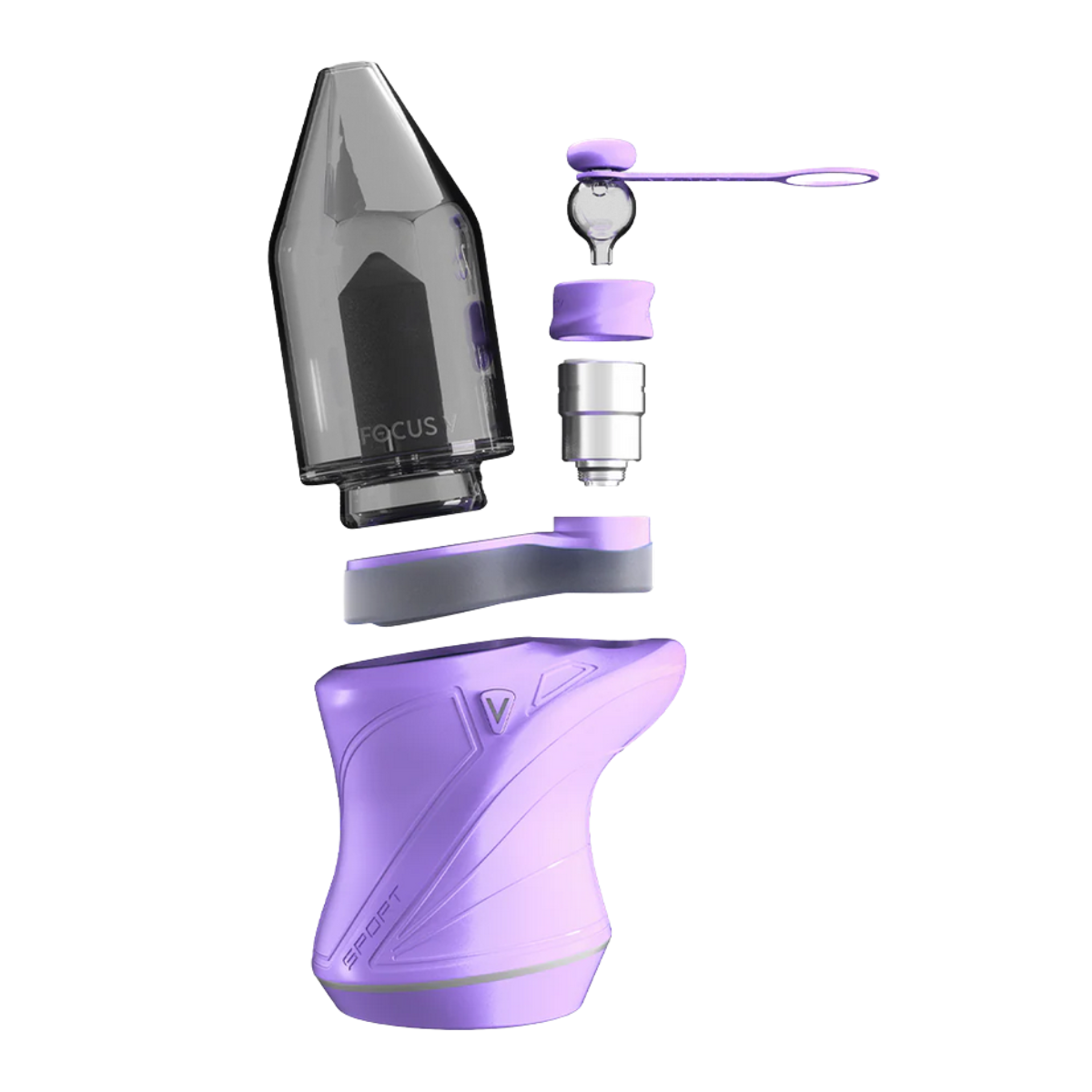 Focus V CARTA SPORT – Lilac Edition