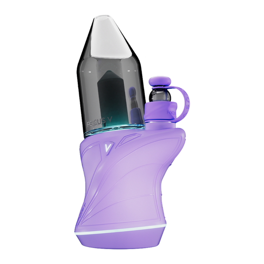 Focus V CARTA SPORT – Lilac Edition