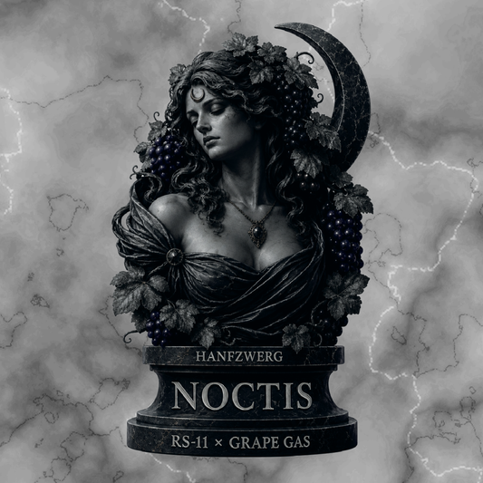 Noctis - Feminisiert