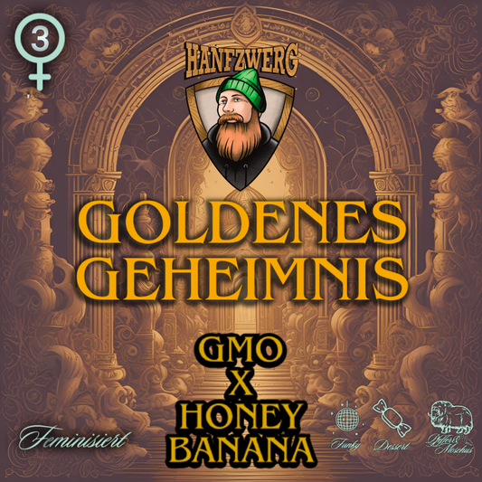 goldenes-geheimnis-hanfsamen1